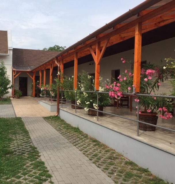 Bed and Breakfast Cicaskacus Vendeghaz Матрофіред Екстер'єр фото